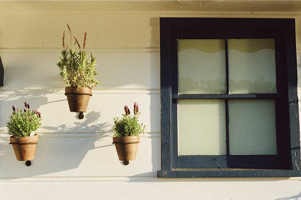 House window